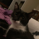 0h-for-g0ds-sake-niall avatar