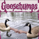 0rangeyougl4d avatar