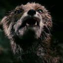 100percentkick avatar