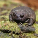 10minutesto10 avatar