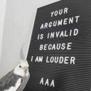 11001110-10101001 avatar