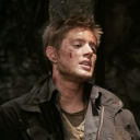 11037frogsinatrenchcoat avatar