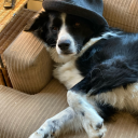 111111jasper111111 avatar