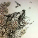 15dreamcatcher avatar