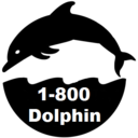 1800-dolphin avatar