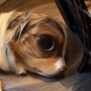 19hyperfixations avatar