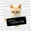 1littlepaw avatar