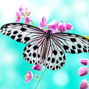 1purplebutterfly avatar