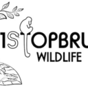 1stopbruneiwildlife avatar