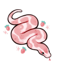 1strawberrysnake avatar