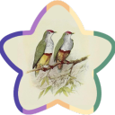 20clownsinatrenchcoat avatar