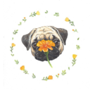 21stcenturywh0re avatar