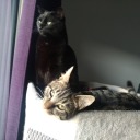 27percentmadness avatar