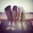 2pairsofwellies avatar