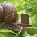 33-snails avatar