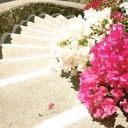 3yearsttdrunk avatar