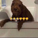 400waterbottles avatar