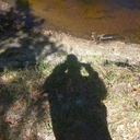 414331ms-blog avatar