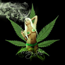 420letsblazeitup avatar