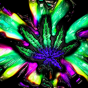 420mota-vation avatar