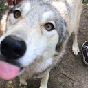 4everyoung4everme avatar