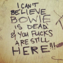 4nythingforourmoony89 avatar