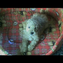 4st3kl0-2mx8-x-2 avatar