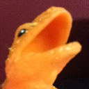 5000lizards avatar