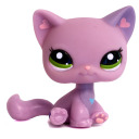 50millionpurplecats avatar
