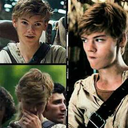 50shadesofsangster avatar