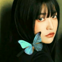 5butterflies avatar