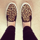 5secondsofspecial avatar