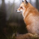 a-beautiful-destructi0n avatar