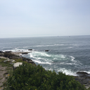 a-common-introvert avatar