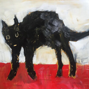 a-curious-feeling avatar