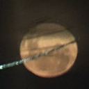 a-hollow-forest avatar