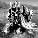 a-hundred-thousand-stars avatar