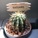 a-jaded-mirage avatar