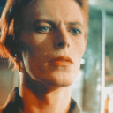 a-little-bowie-beatle avatar