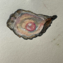 a-n-n-am-a-r-i-a avatar