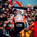 a-sportygoldfish avatar