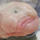 a-strange-person-thing avatar