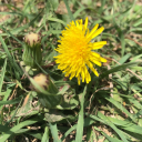 a-tiny-occultist avatar