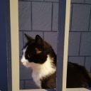 abbracciamiforteperfavore avatar