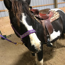 abby19323-blog avatar