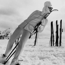 abigailhstern avatar