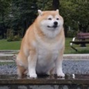 abiggloriousenby avatar