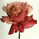 ablogofdressesandfashions avatar