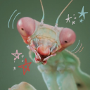 abnormal-gardens avatar