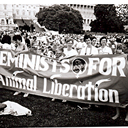 abolishslavery avatar